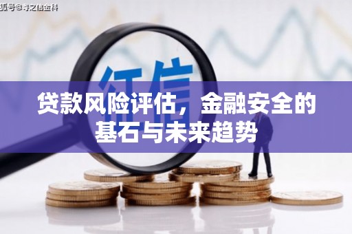 山上贷款风险评估，金融安全的基石与未来趋势