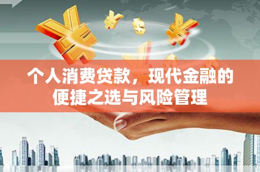 山上个人消费贷款，现代金融的便捷之选与风险管理