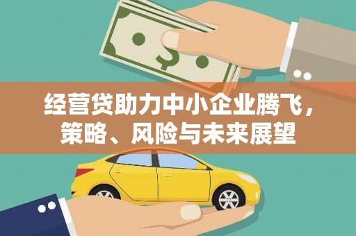 山上经营贷助力中小企业腾飞，策略、风险与未来展望