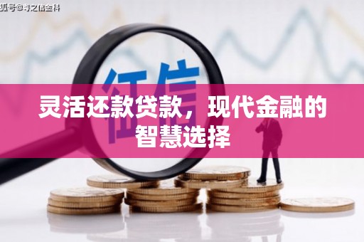 山上灵活还款贷款，现代金融的智慧选择