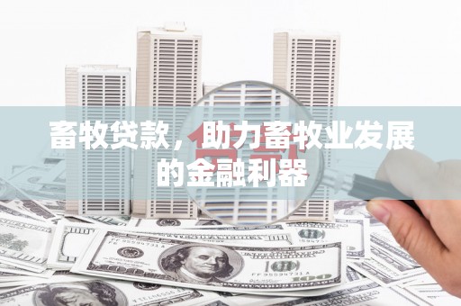 山上畜牧贷款，助力畜牧业发展的金融利器