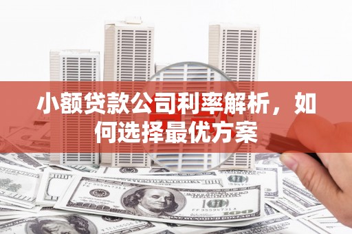 山上小额贷款公司利率解析，如何选择最优方案