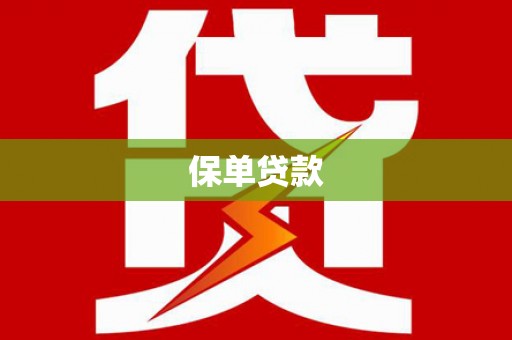 山上保单贷款