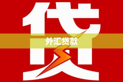 山上外汇贷款