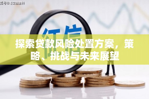 山上探索贷款风险处置方案，策略、挑战与未来展望