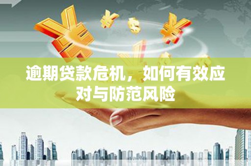 山上逾期贷款危机，如何有效应对与防范风险