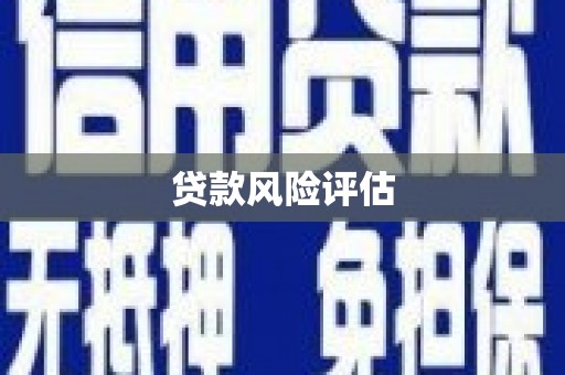 山上贷款风险评估