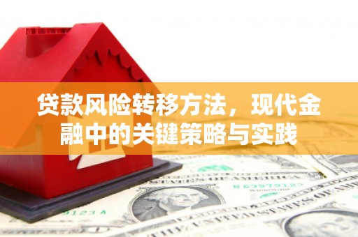山上贷款风险转移方法，现代金融中的关键策略与实践