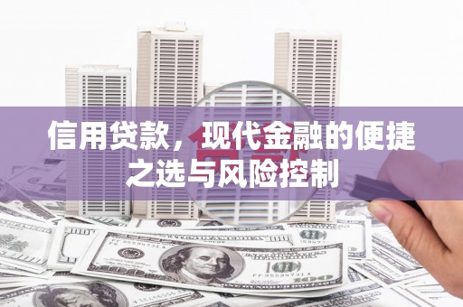 山上信用贷款，现代金融的便捷之选与风险控制