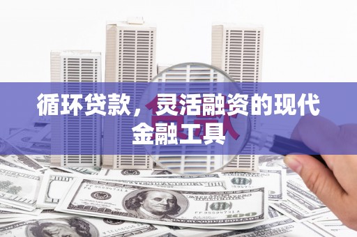 山上循环贷款，灵活融资的现代金融工具