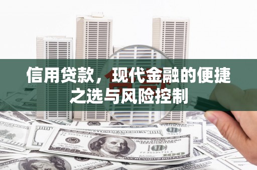山上信用贷款，现代金融的便捷之选与风险控制