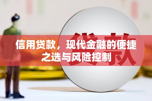 山上信用贷款，现代金融的便捷之选与风险控制