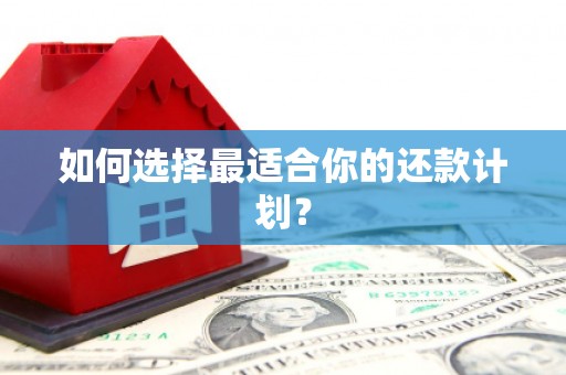山上如何选择最适合你的还款计划？