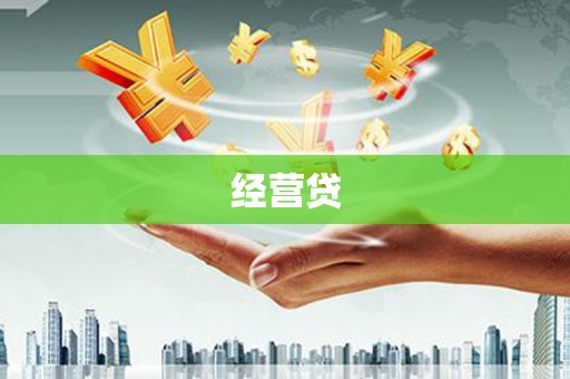 山上经营贷