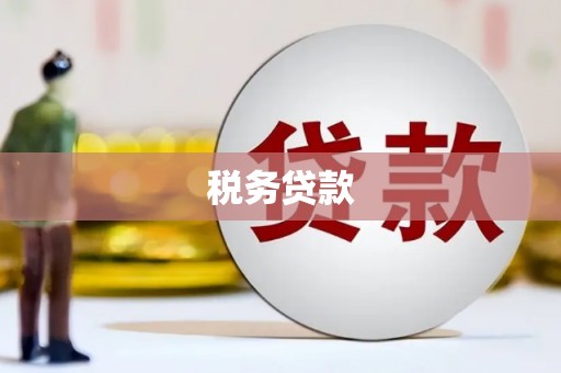 山上税务贷款