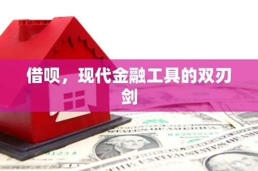 山上借呗，现代金融工具的双刃剑