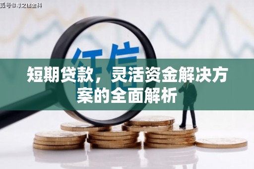山上短期贷款，灵活资金解决方案的全面解析
