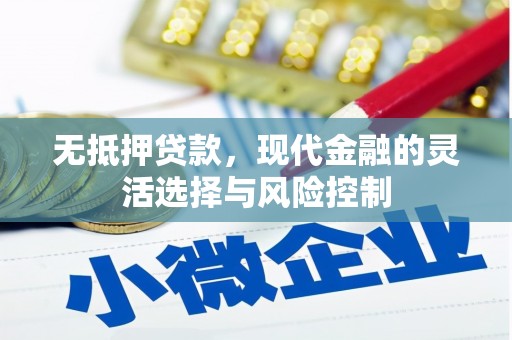 山上无抵押贷款，现代金融的灵活选择与风险控制
