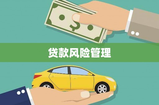 山上贷款风险管理