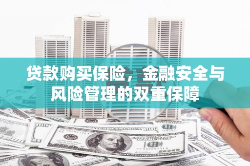 山上贷款购买保险，金融安全与风险管理的双重保障