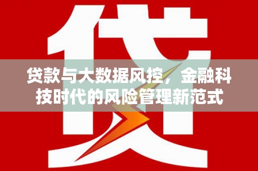 山上贷款与大数据风控，金融科技时代的风险管理新范式