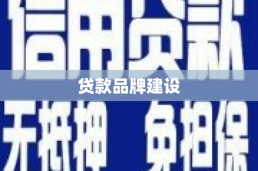 山上贷款品牌建设
