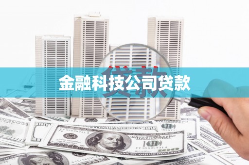 山上金融科技公司贷款