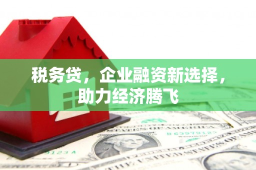 山上税务贷，企业融资新选择，助力经济腾飞