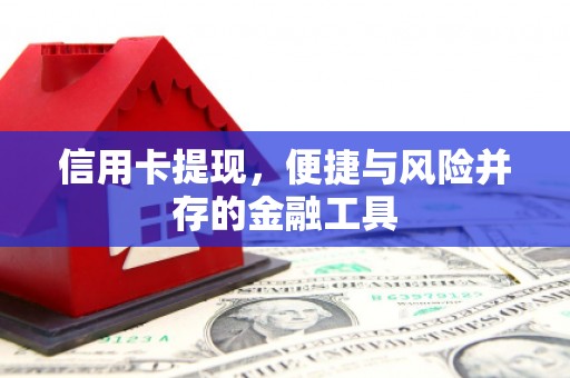 山上信用卡提现，便捷与风险并存的金融工具