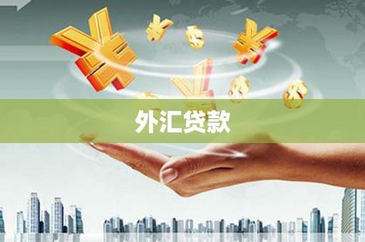 山上外汇贷款