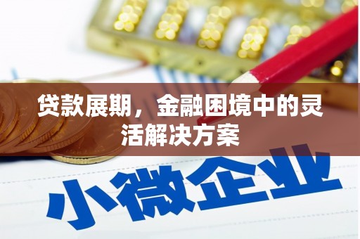 山上贷款展期，金融困境中的灵活解决方案