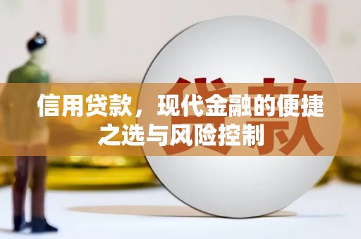 山上信用贷款，现代金融的便捷之选与风险控制