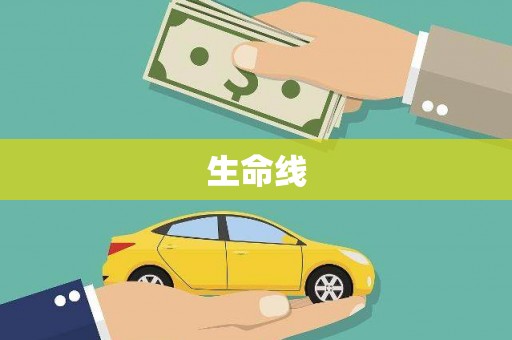 山上生命线