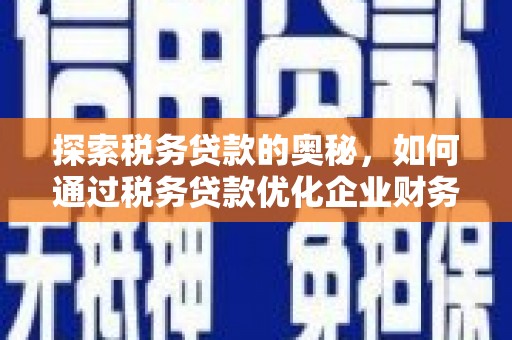 山上探索税务贷款的奥秘，如何通过税务贷款优化企业财务