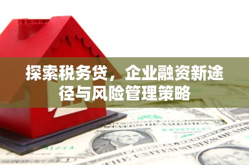 山上探索税务贷，企业融资新途径与风险管理策略