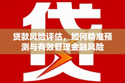山上贷款风险评估，如何精准预测与有效管理金融风险