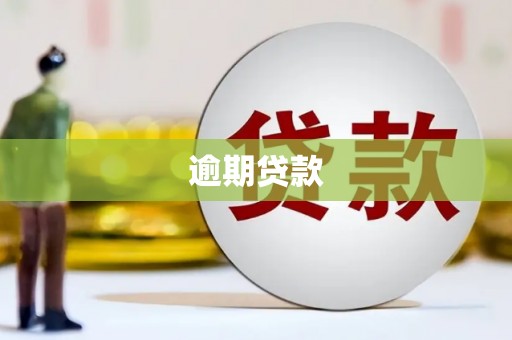 山上逾期贷款