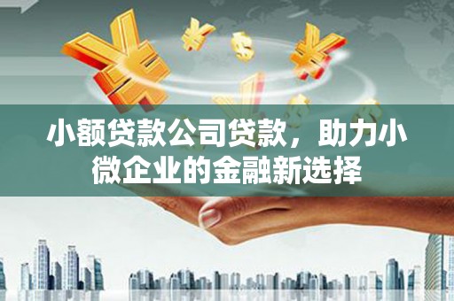 山上小额贷款公司贷款，助力小微企业的金融新选择