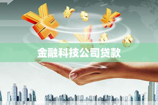 山上金融科技公司贷款
