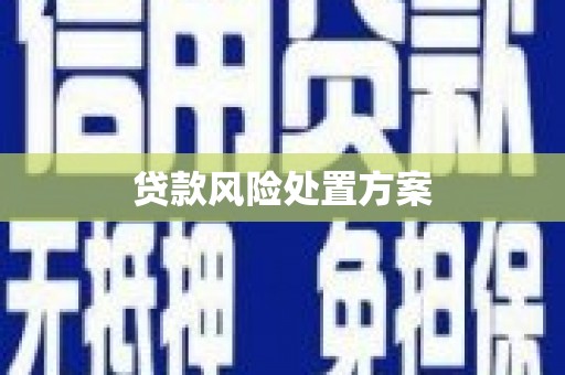 山上贷款风险处置方案