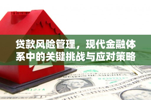 山上贷款风险管理，现代金融体系中的关键挑战与应对策略