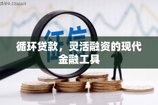 山上循环贷款，灵活融资的现代金融工具