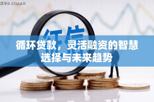 山上循环贷款，灵活融资的智慧选择与未来趋势