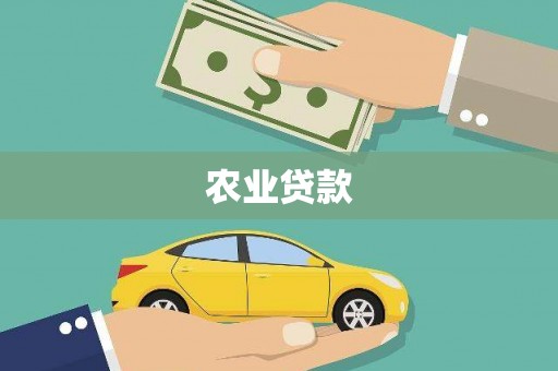 山上农业贷款