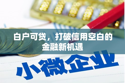 山上白户可贷，打破信用空白的金融新机遇