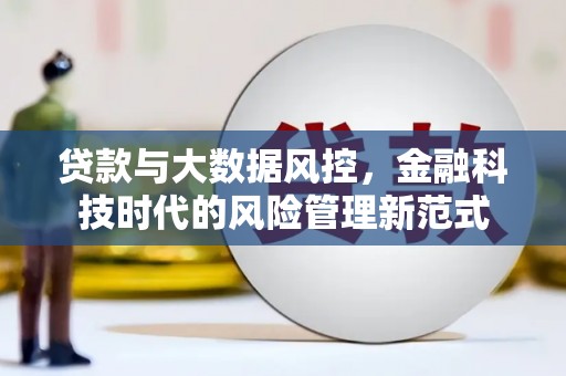 山上贷款与大数据风控，金融科技时代的风险管理新范式