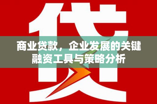 山上商业贷款，企业发展的关键融资工具与策略分析