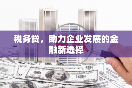 山上税务贷，助力企业发展的金融新选择