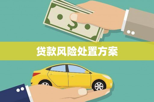 山上贷款风险处置方案