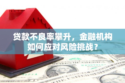山上贷款不良率攀升，金融机构如何应对风险挑战？